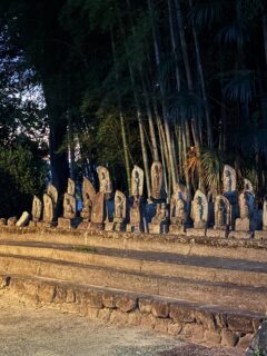 檀信徒様の有志おかげを持ちまして、境内地が綺麗になりました
心より深謝申し上げます

1人では何にも出来ない事を痛感しました
沢山の方のご協力の下、山門入口竹林も見栄え良くなりました

愈々お盆月になりますが、ご自愛下さり佳きお盆をお過ごし下さいまさ

#春日井市 #愛知県#寺社 #仏閣 #感動 #癒し #寺巡り#竹林 #竹 #自然#掃除 #きれい好き #日常生活