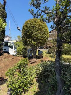 降誕会の日に、金木犀と薪の木を移植して頂きました

諸々の事情により、移植時期を逃してしまい、この時期になりました

枯れてしまう可能性がありそうですが、子供達が水を与えてくれています

ここに、天龍様海龍様を示す『双龍の薪』が誕生致しました

#寺院
#龍神
#春日井市
#タケノコ
#縁日