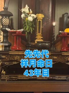 去る７月２８日火曜日午後７時頃
次男に甘えて、先先代43回目の供養をさせて頂きました

次男も来年には小学校に行きますが、最近は長男より食欲勝っておりますので、衣服やらの心配が絶えません
ヤンチャで、泣きべそで、怖がりですが、今夏よりお檀家さん参りに参戦してくれます

写真の如く、訳も分からず、焼香をして、手を合わせて頭を下げる
何処で覚えたのかは、分かりませんが、これだけ出来れば充分です

想いが色褪せるのが常かもしれませんが、歴代住職のおかげでお寺に座らせて頂いてる事を忘れてはいけないと思ってます

早い時期から準備はしたものの、結局出来なかった事ばかりです
でも、無常にもお盆はやって来ます
漸く、諦めることも少しばかり覚えました

#春日井市
#寺院
#命日
#お盆
#蒼い龍神様が宿るお寺