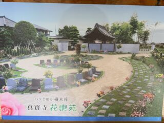 ９月上旬も過ぎ去り、中旬へと入って参りました
今週の大雨にはタジタジであり、命の危険を感じる日々でした

当山の中庭、もう少しで浸水する程瀬戸際でした
おかげさまでなのか、玄関先が程よく下の方から濡れて、本堂は４ヶ所も雨漏り、庫裡も思わぬ所が雨漏り‥
龍神様始め、歴代住職や檀信徒各先祖様に、救って頂いた様です

長雨に悩まされながらも、出来る事を少しずつやり遂げますが、全く草は減りませぬ
明日は、文明の力、草刈様にお力添えを頂き、草刈を致します
どうか、雨よ、降らないで下さい‼︎

私だけではなく、樹木葬も悩まされており、今日はたくさんの職人さん達が一生懸命進めて来れています
残暑の中ですが、有難き事です

さぁ、15日午後３時龍神様開眼法要でございます
沢山のご縁に恵まれます事期待しております

#春日井市
#寺院
#龍神様開眼法要
#大雨
#樹木葬